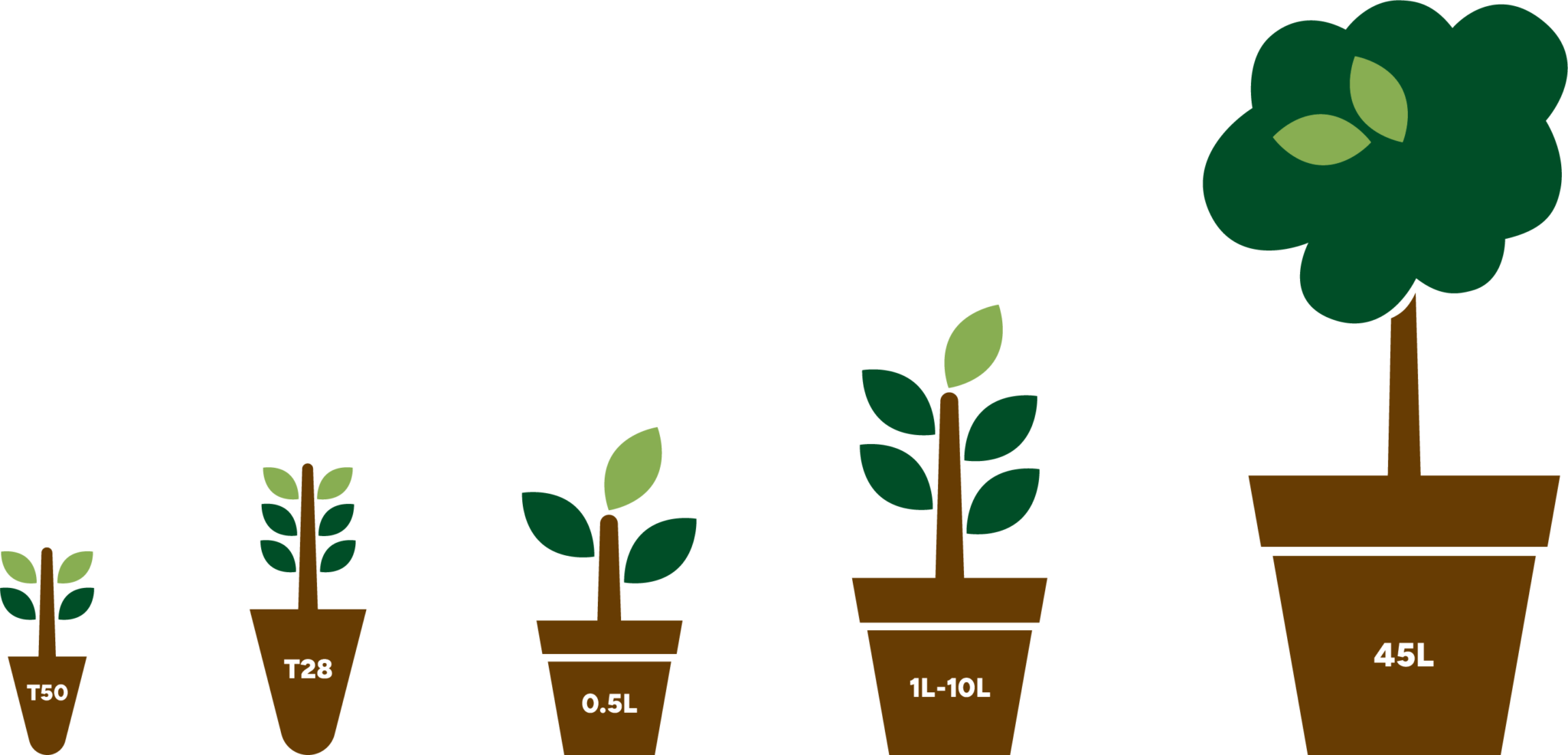 Native Nursery KiwiCan Natives